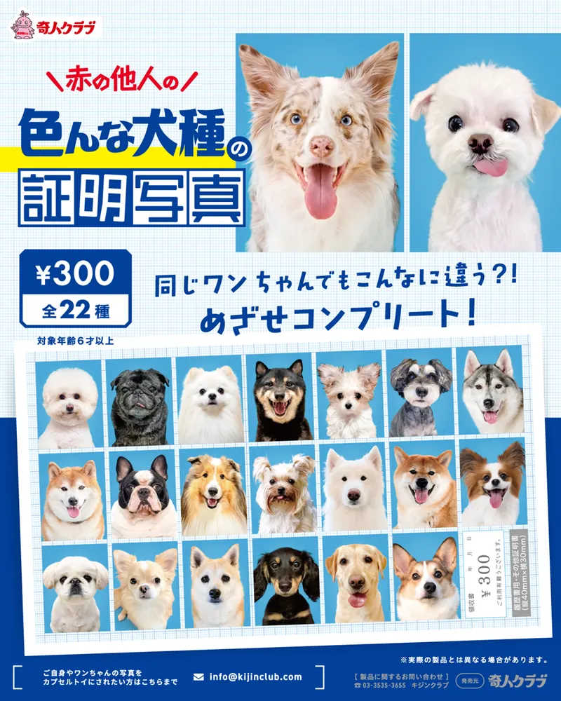 赤の他人の色んな犬種の証明写真(画像)