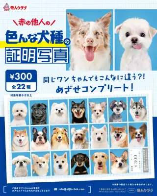 赤の他人の色んな犬種の証明写真の画像