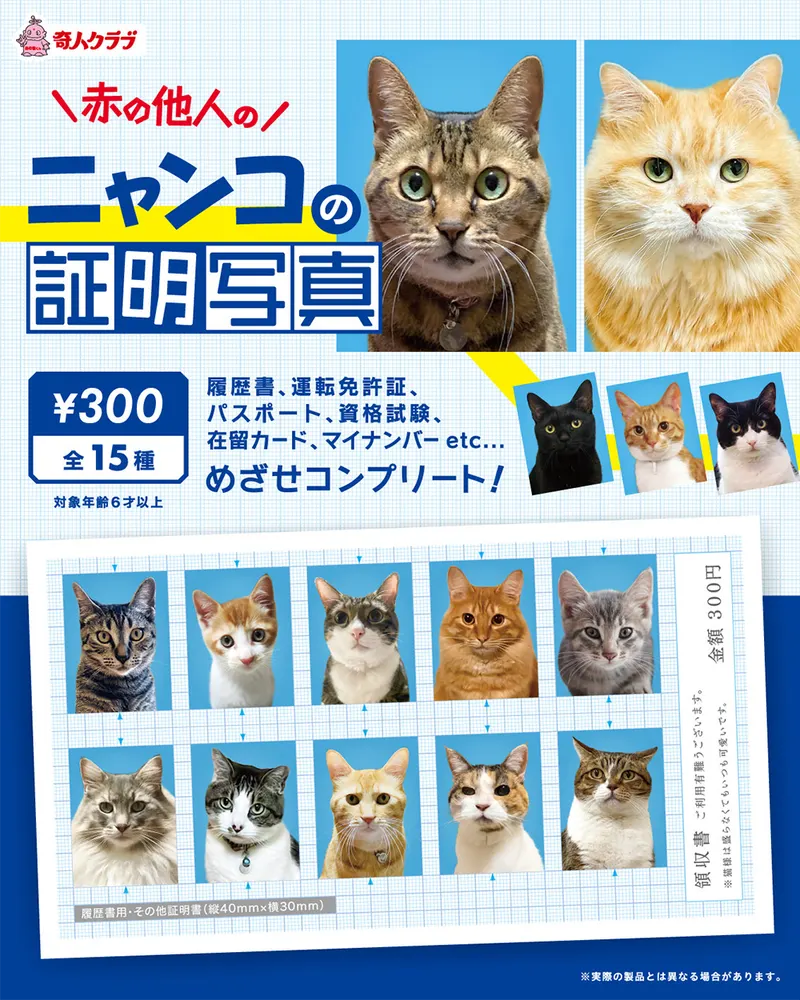 赤の他人のニャンコ証明写真(画像)