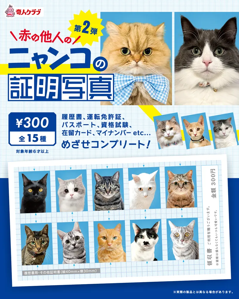 赤の他人のニャンコ証明写真 第2弾(画像)