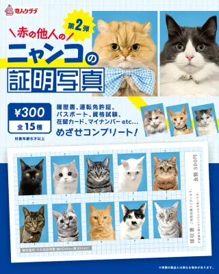 赤の他人のニャンコ証明写真 第2弾の画像