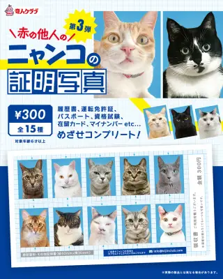 赤の他人のニャンコ証明写真 第3弾の画像