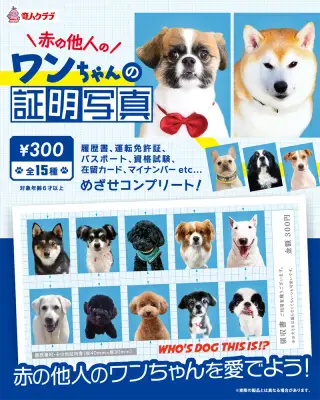 赤の他人のワンちゃん証明写真の画像