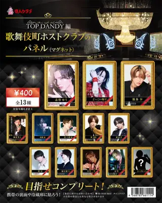 TOP DANDY編 歌舞伎町ホストクラブのパネル（マグネット）の画像