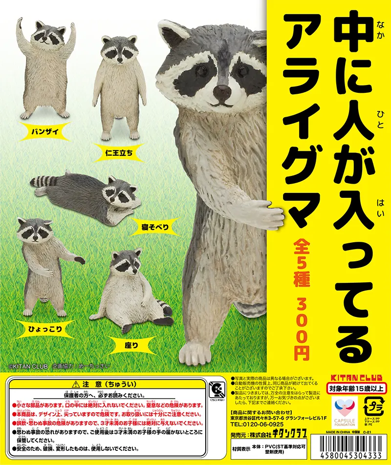 中に人が入ってるアライグマ(画像)