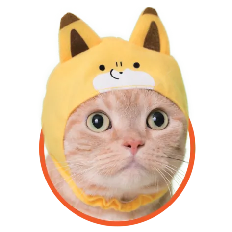 かわいい かわいい ねこのかぶりもの タヌキとキツネ ラインナップ 2
