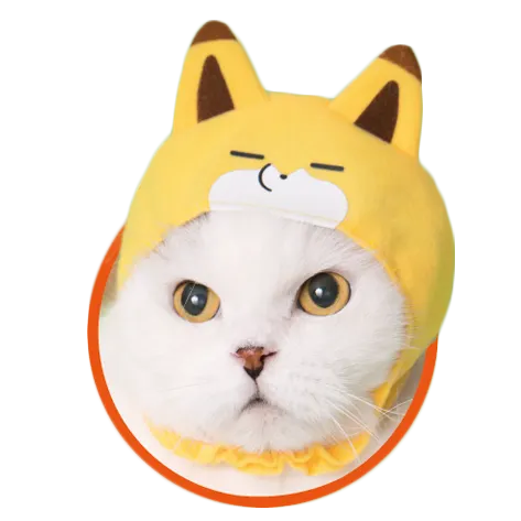 かわいい かわいい ねこのかぶりもの タヌキとキツネ ラインナップ 4