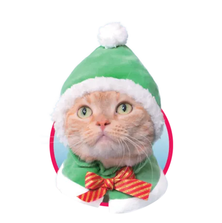 かわいい かわいい ねこクリスマスちゃん ~ホワイトクリスマス~ ラインナップ 2