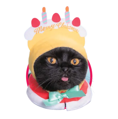 かわいい かわいい ねこクリスマスちゃん ~ホワイトクリスマス~ ラインナップ 3