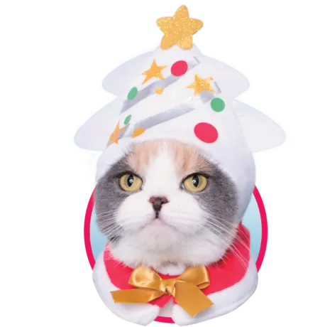 かわいい かわいい ねこクリスマスちゃん ~ホワイトクリスマス~ ラインナップ 4