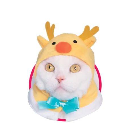 かわいい かわいい ねこクリスマスちゃん ~ホワイトクリスマス~ ラインナップ 5