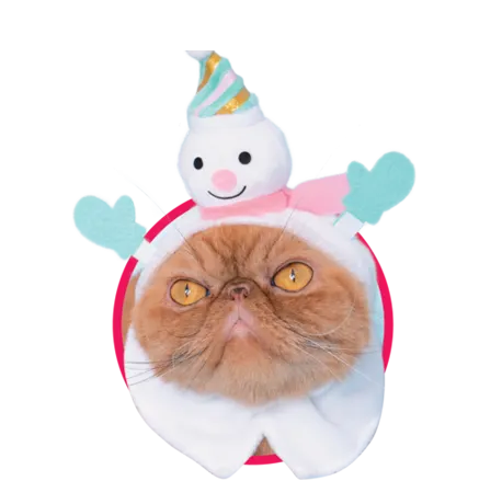 かわいい かわいい ねこクリスマスちゃん ~ホワイトクリスマス~ ラインナップ 6