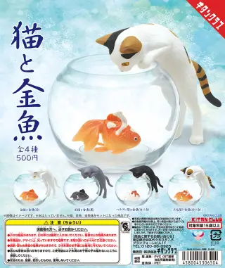 猫と金魚の画像