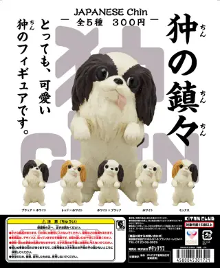狆の鎮々の画像
