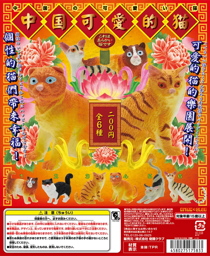 中国の可愛い猫(画像)
