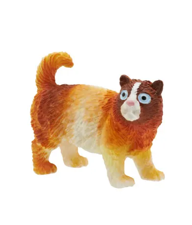 中国の可愛い猫 ラインナップ 2