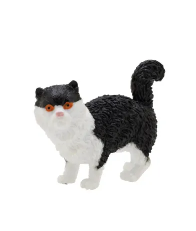 中国の可愛い猫 ラインナップ 3