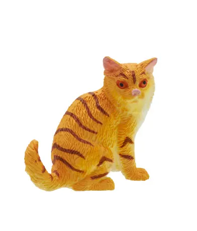 中国の可愛い猫 ラインナップ 4