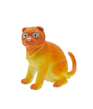 中国の可愛い猫 ラインナップ 5