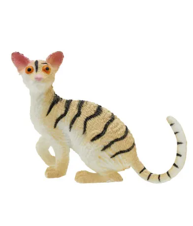 中国の可愛い猫 ラインナップ 7
