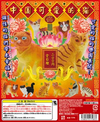 中国の可愛い猫の画像