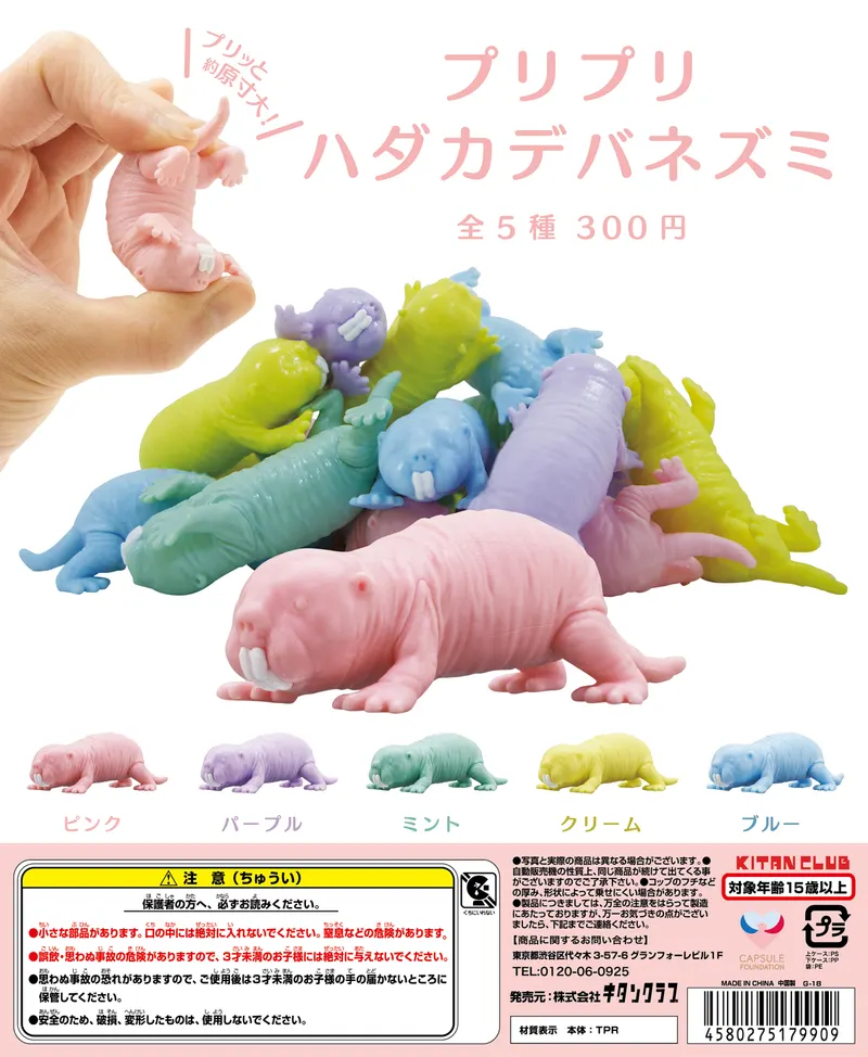プリプリ ハダカデバネズミ(画像)
