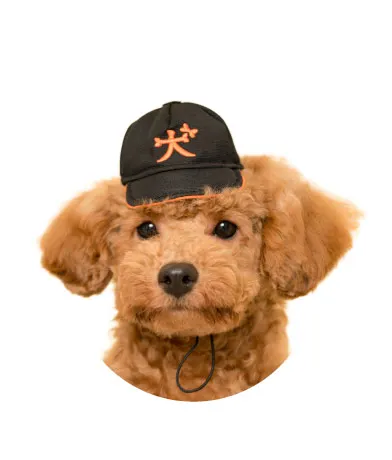 かわいい かわいい 犬の野球チーム ラインナップ 2