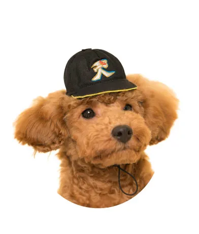 かわいい かわいい 犬の野球チーム ラインナップ 4