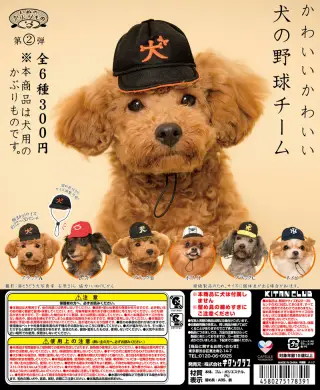 かわいい かわいい 犬の野球チームの画像