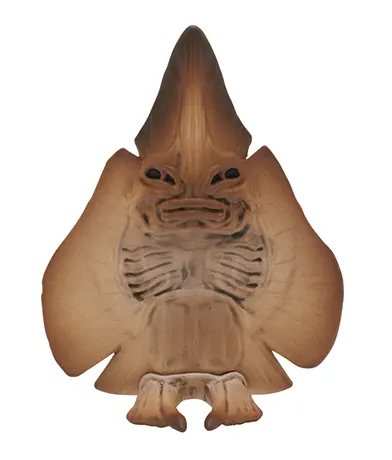 エイの裏側かわいい フィギュア ラインナップ 6