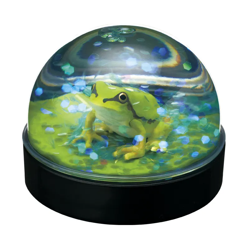 WaterDomeFactory ニホンアマガエル ラインナップ 2