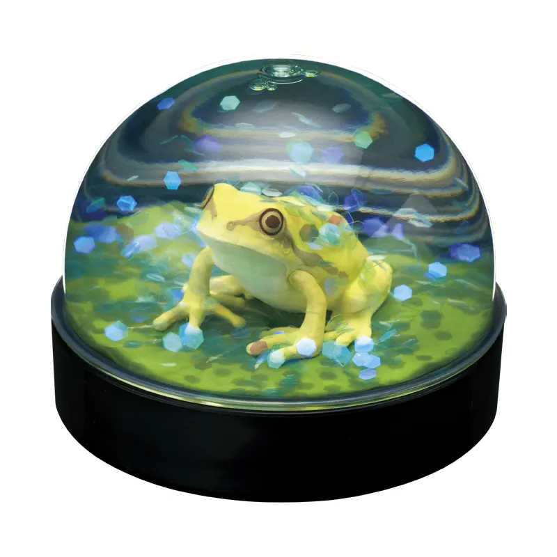 WaterDomeFactory ニホンアマガエル ラインナップ 3