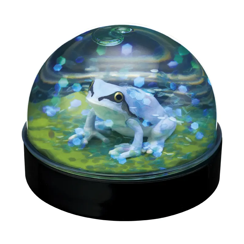 WaterDomeFactory ニホンアマガエル ラインナップ 4
