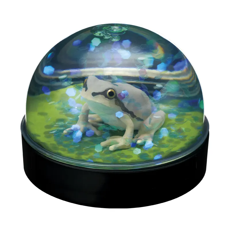 WaterDomeFactory ニホンアマガエル ラインナップ 5