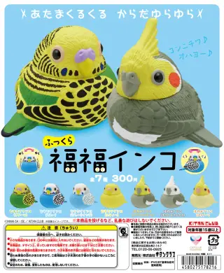 ふっくら福福インコの画像