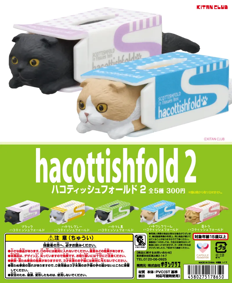 ハコティッシュフォールド2(画像)