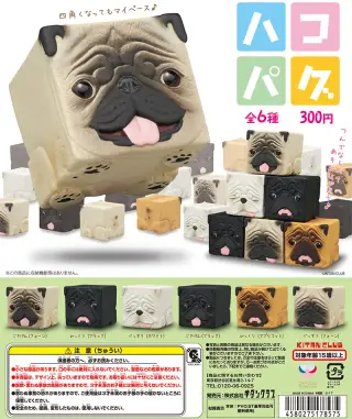 ハコパグの画像