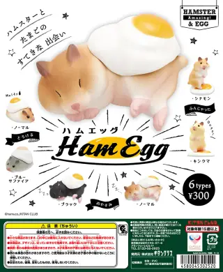 ハムエッグの画像