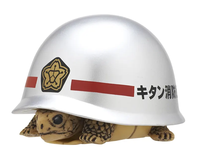 ヘルメット+カメ2 チェッカー