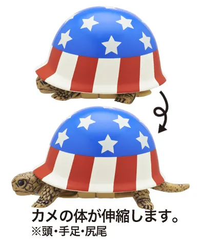 ヘルメット+カメ2 ラインナップ 6