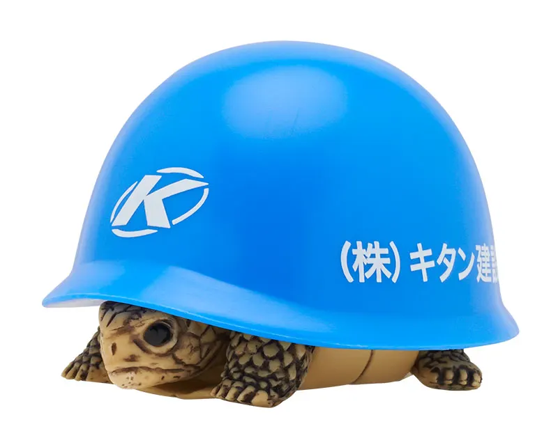 ヘルメット+カメ イエロー