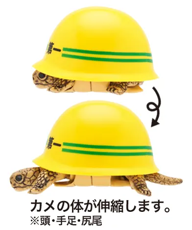 ヘルメット+カメ ラインナップ 6
