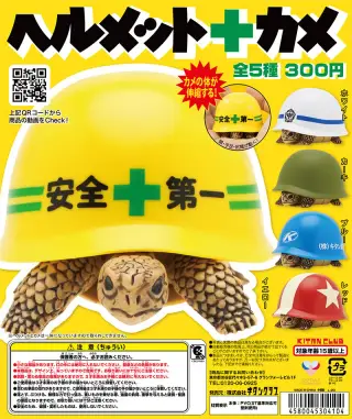 ヘルメット＋カメの画像