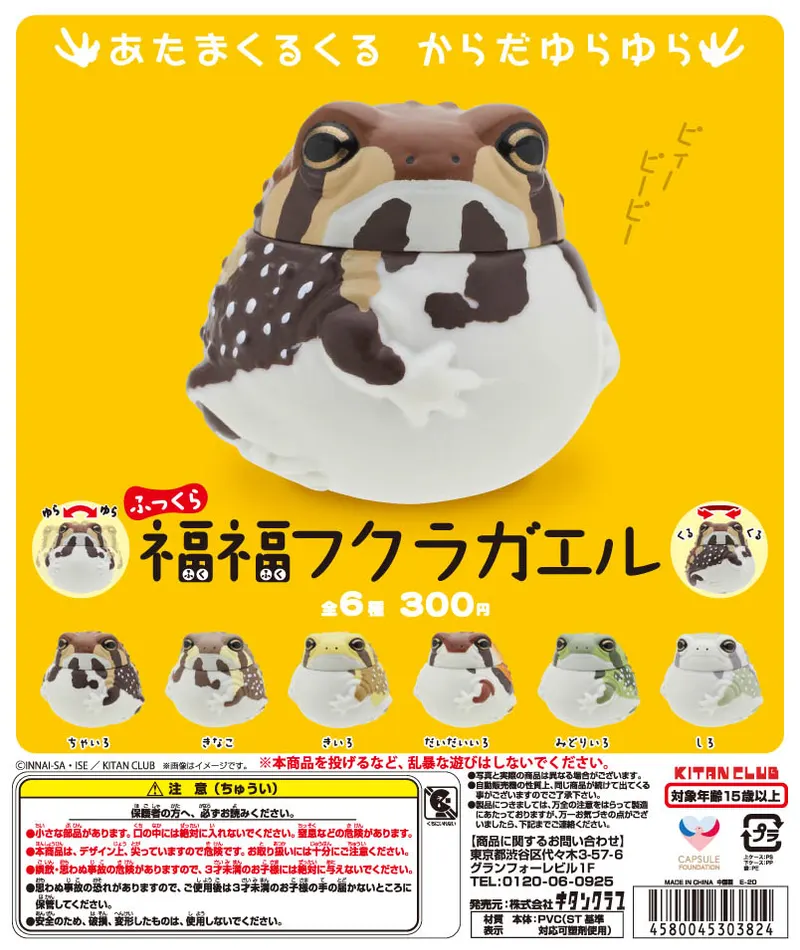 ふっくら福福フクラガエル(画像)