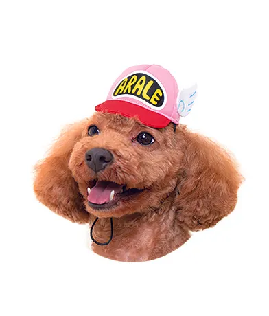 かわいいかわいい いぬのかぶりもの Dr.スランプアラレちゃん ラインナップ 4