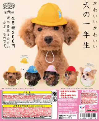 かわいい かわいい 犬の一年生の画像