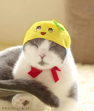かわいい かわいい かぶりものなっしー!!! 〜ふなっしーバージョン〜 ラインナップ 2