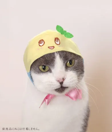 かわいい かわいい かぶりものなっしー!!! 〜ふなっしーバージョン〜 ラインナップ 3