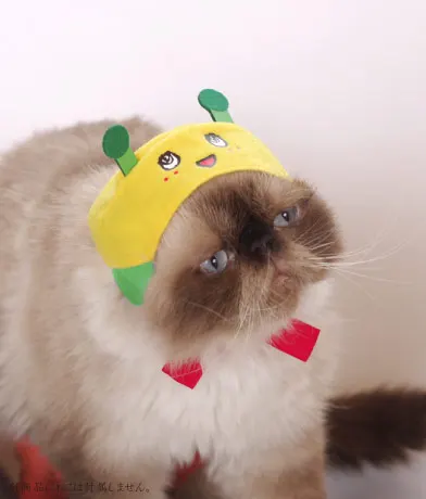 かわいい かわいい かぶりものなっしー!!! 〜ふなっしーバージョン〜 ラインナップ 4