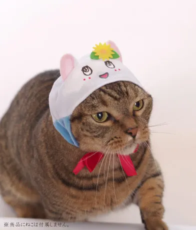 かわいい かわいい かぶりものなっしー!!! 〜ふなっしーバージョン〜 ラインナップ 5
